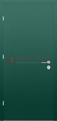 Зеленая стальная дверь с нитроэмалью ДН-6 в Пскове