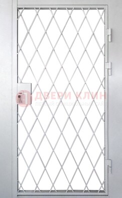 Стальная решетчатая дверь ДР-13 в Пскове