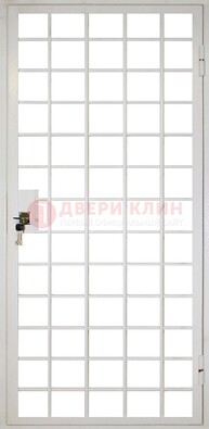 Белая металлическая решетчатая дверь ДР-2 в Пскове