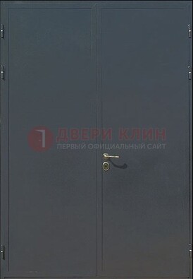 Двухстворчатая техническая дверь ДТ-5 в Пскове