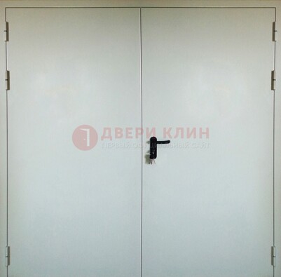 Белая металлическая техническая дверь ДТ-8 в Пскове